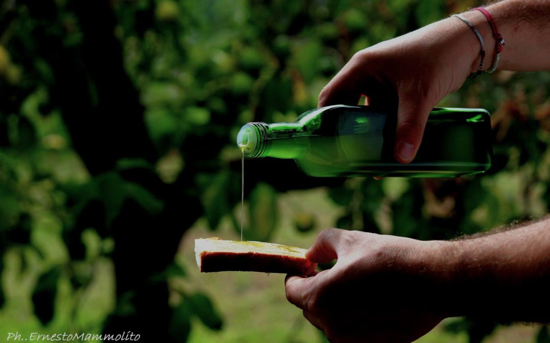 La dieta mediterranea al centro di “Girolio 2017”  Il tour delle “Città dell’olio” sarà presto in Calabria
