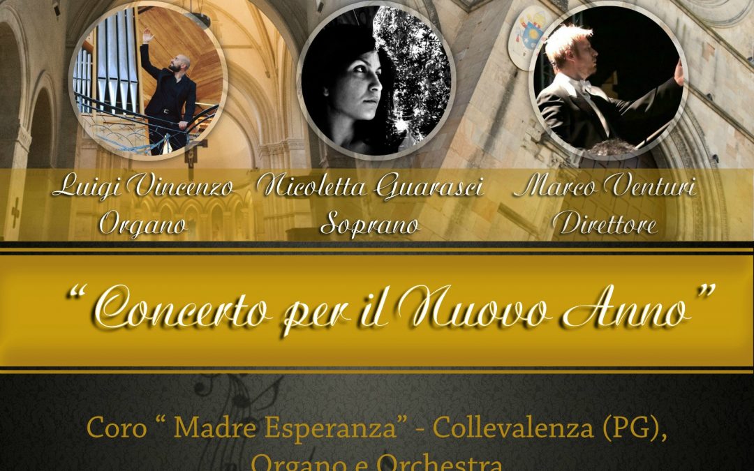 Voce e organo per inaugurare il nuovo anno, con un concerto, nel Duomo di Cosenza