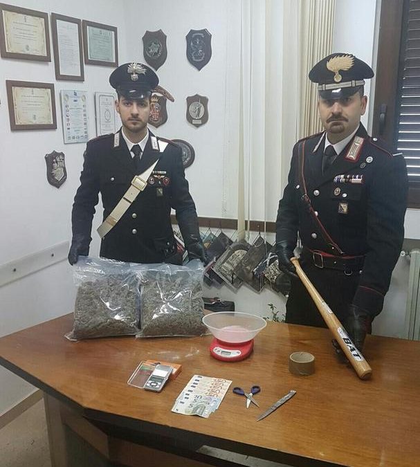 La marijuana sequestrata dai carabinieri a Rionero in Vulture (PZ)