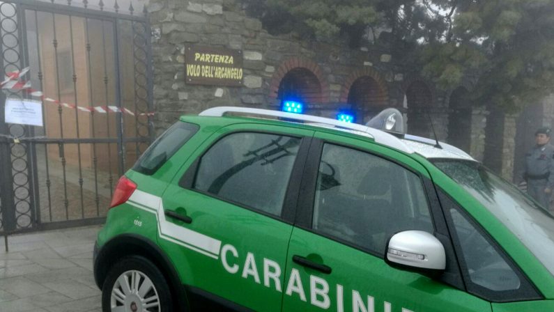 Ladri di mimose a Moschiano, in quattro nei guai