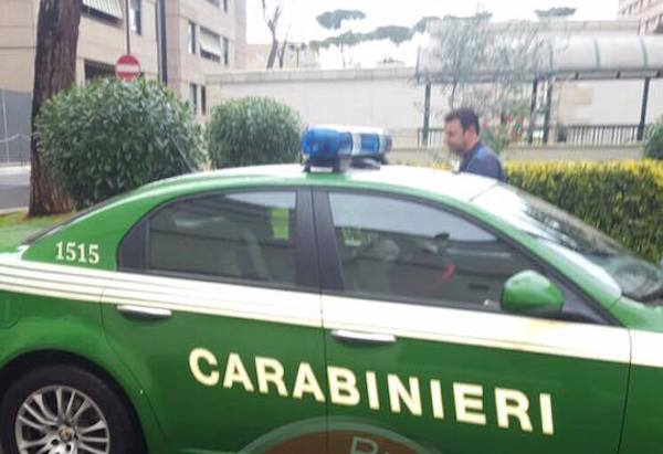 Canile illegale sequestrato a Crotone, denunciato il responsabile