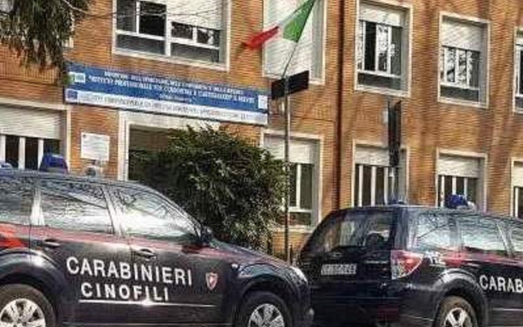 Lotta alla droga: blitz dei Carabinieri con unità cinofila in una scuola di Avellino