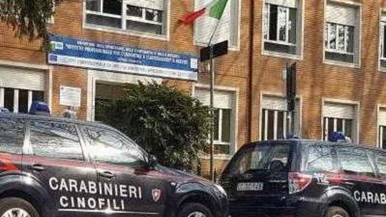 Lotta alla droga: blitz dei Carabinieri con unità cinofila in una scuola di Avellino
