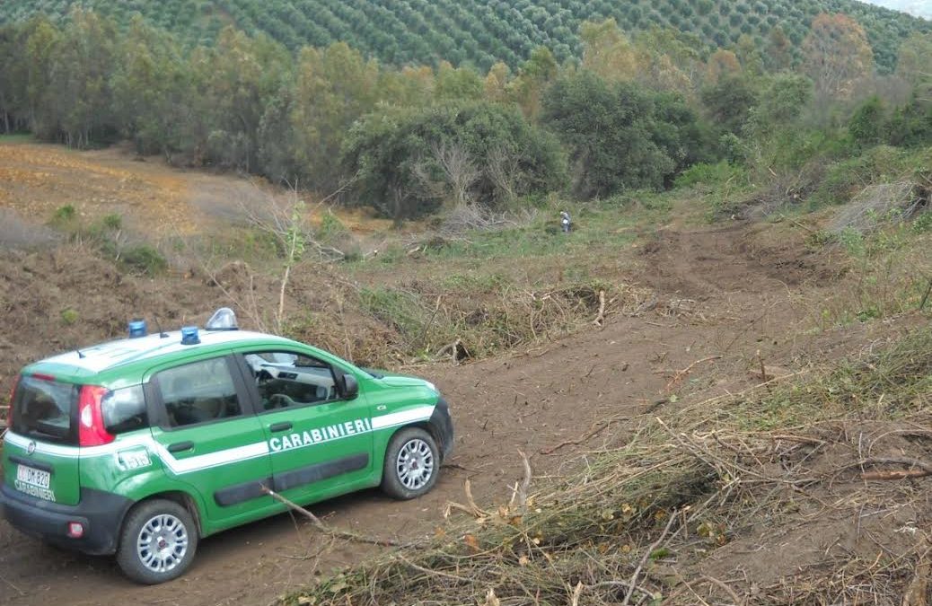L'area di San Mauro Marchesato posta sotto sequestro dai carabinieri