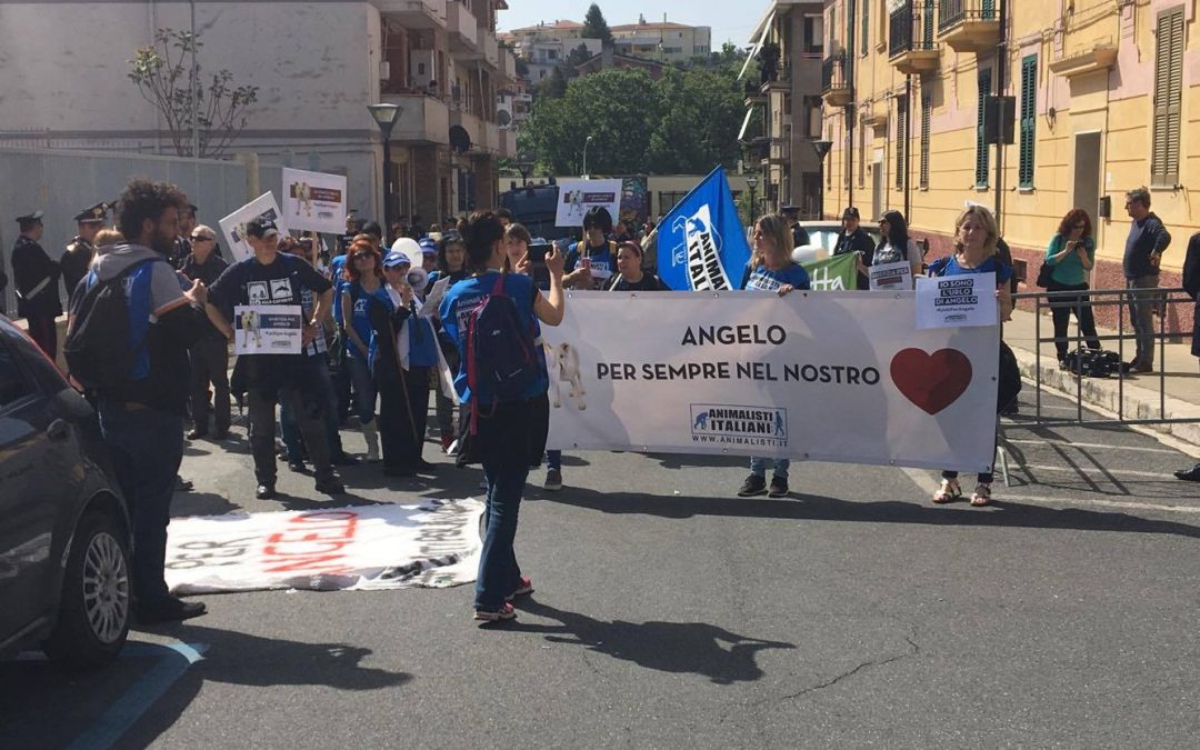 FOTO – Cane seviziato e ucciso nel Cosentino  La manifestazione davanti al tribunale di Paola