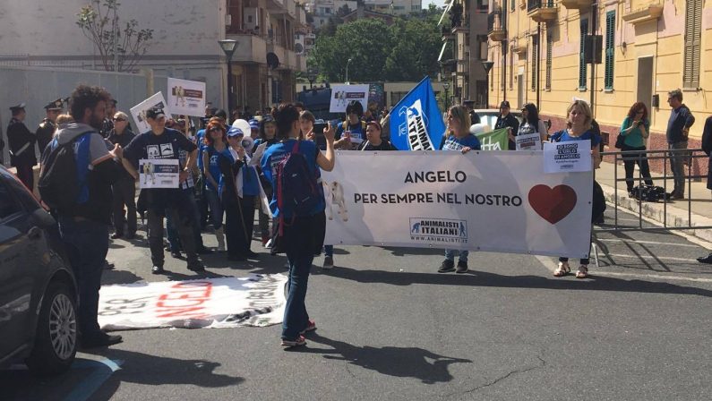 FOTO - Cane seviziato e ucciso nel CosentinoLa manifestazione davanti al tribunale di Paola