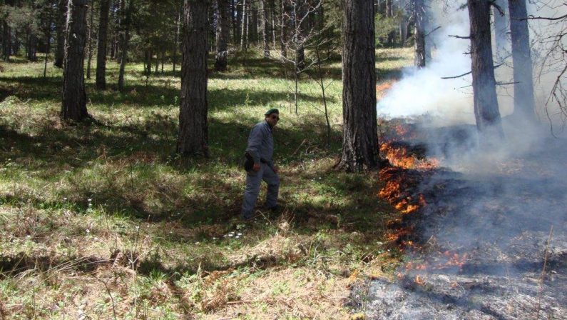 Forestali tagliati fuori nell'estate della grande siccità: protesta in Regione