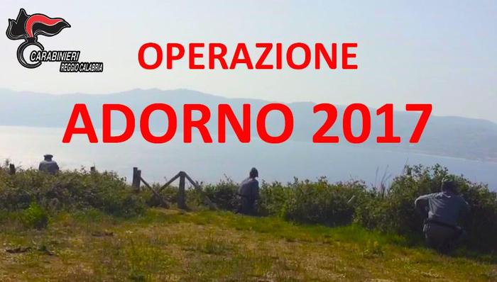 Operazione contro bracconaggio nell'area dello StrettoControlli a difesa di uccelli migratori e specie protette