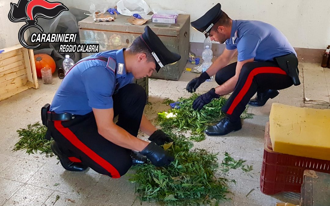 FOTO – Droga armi e munizioni scoperte a Reggio  Le immagini della merce ritrovata dai carabinieri