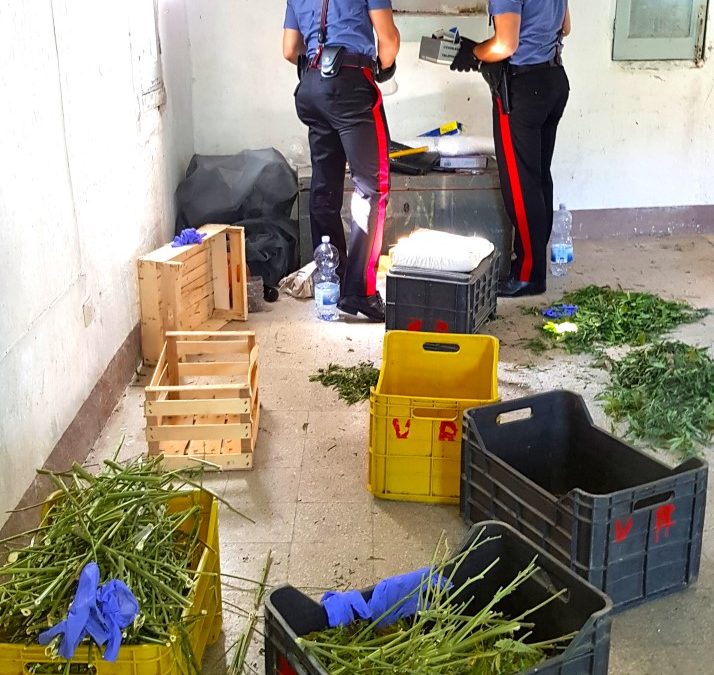 VIDEO – Scoperto un piccolo arsenale a Reggio Calabria  I carabinieri sul luogo del ritrovamento