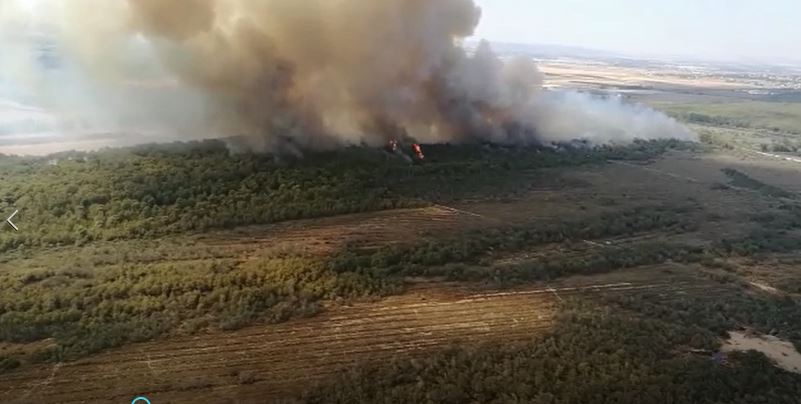 VIDEO - Le immagini dell'incendio a MetapontoLe fiamme mettono a rischio gli stabilimenti turistici&nbsp;