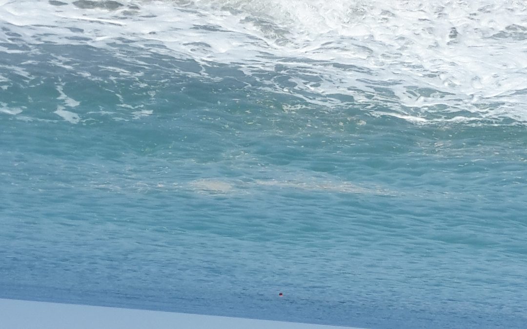 FOTO – Le segnalazioni del mare sporco in Calabria  Schiuma, chiazze scure e maleodoranti