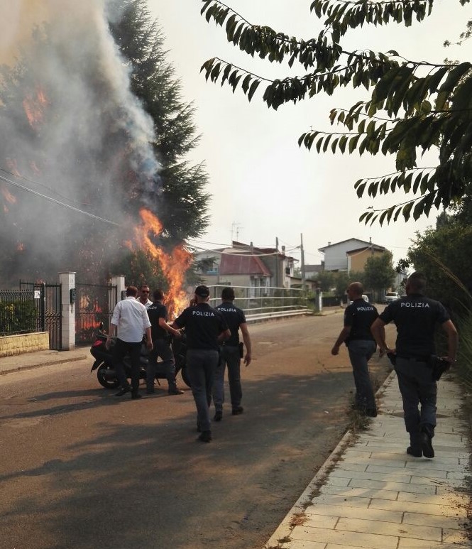 Emergenza incendi, ancora fiamme a CatanzaroDue piromani denunciati dalla polizia nel Cosentino