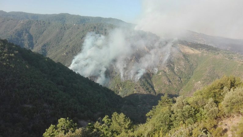 Calabria continua a bruciare è allarme nel territorioDue i morti, uno nel Cosentino e uno nel Vibonese