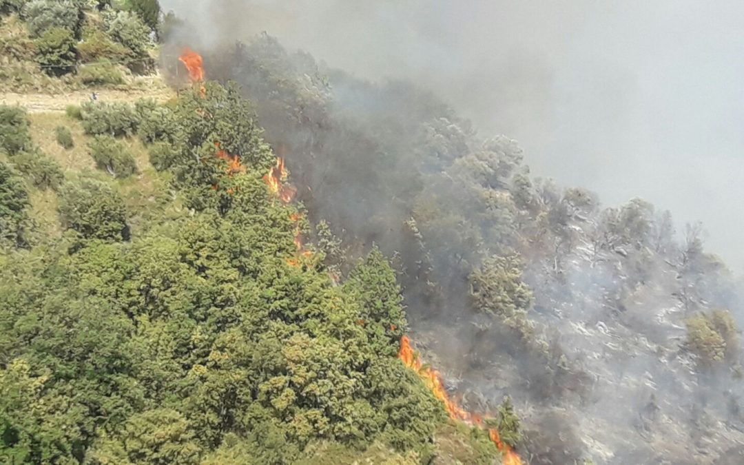 VIDEO – Incendio a Montalto Uffugo  Situazione critica, famiglie evacuate