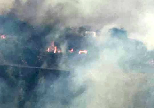 Incendi in Calabria, situazione critica a MontaltoLe fiamme hanno raggiunto alcune abitazioni