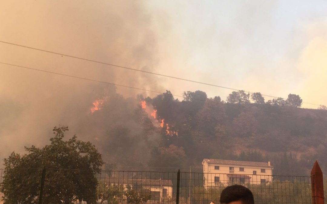 VIDEO – Incendi a nord di Cosenza, evacuate famiglie a Rose. Fiamme anche a Montalto, Luzzi e San Fili