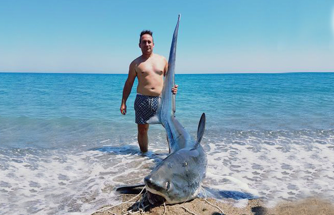 Lo squalo pescato a Strongoli (Foto Ansa)