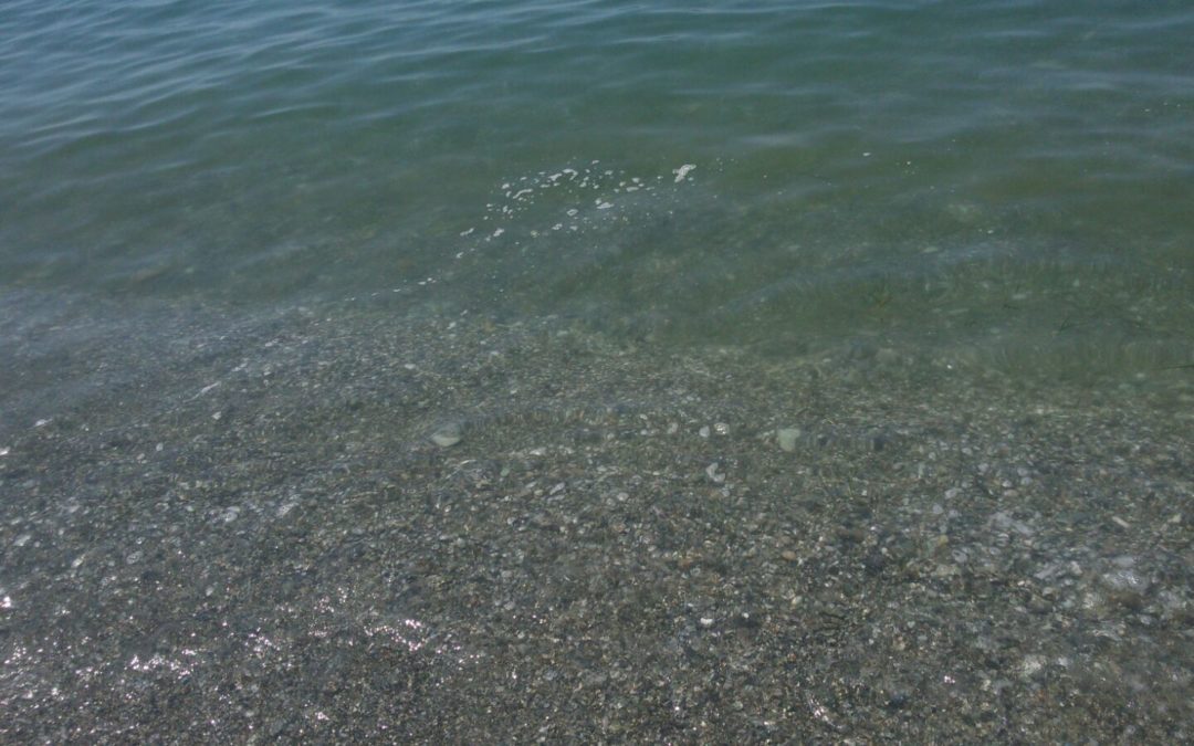 VIDEO – Mare sporco a Torremezzo nel cosentino  Le immagini riprese dai bagnanti sulla spiaggia