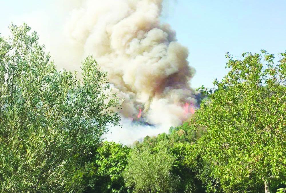 Tristi colonne di fumo si alzano da una zona di campagna del Cosentino