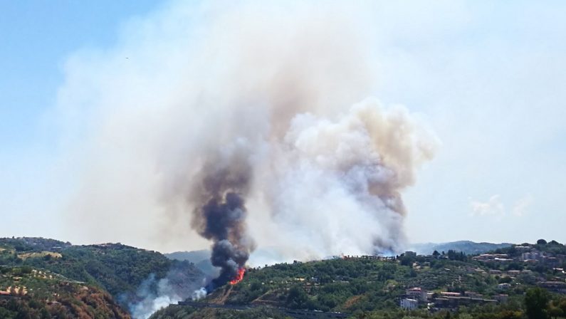 Vasto incendio nel Cosentino, chiusa l’autostrada  Le fiamme stanno bruciando una vasta area boschiva