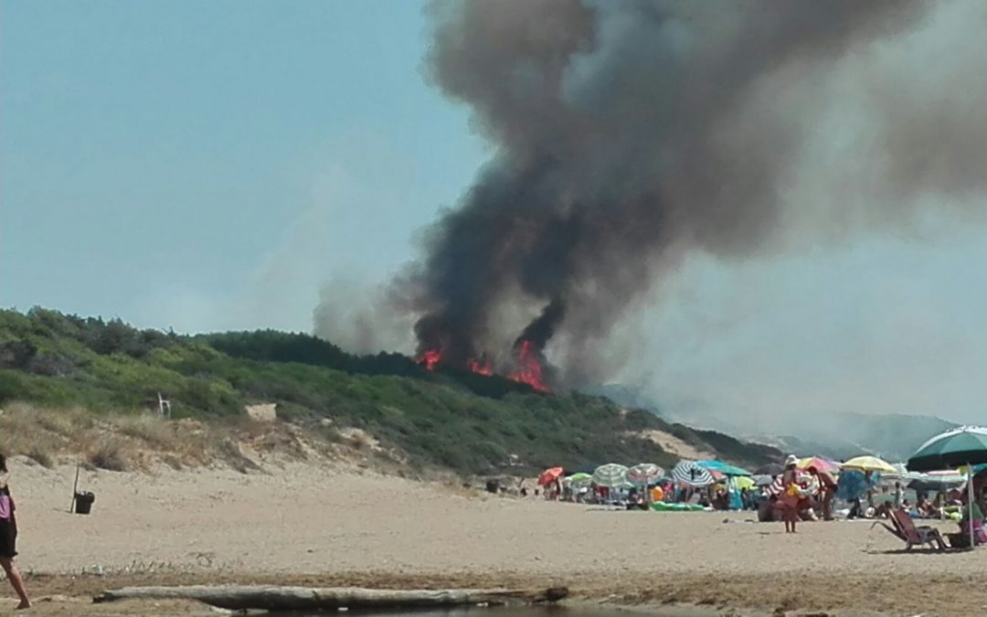 Le fiamme sulla pineta della spiaggia di Sovereto a Isola Capo Rizzuto