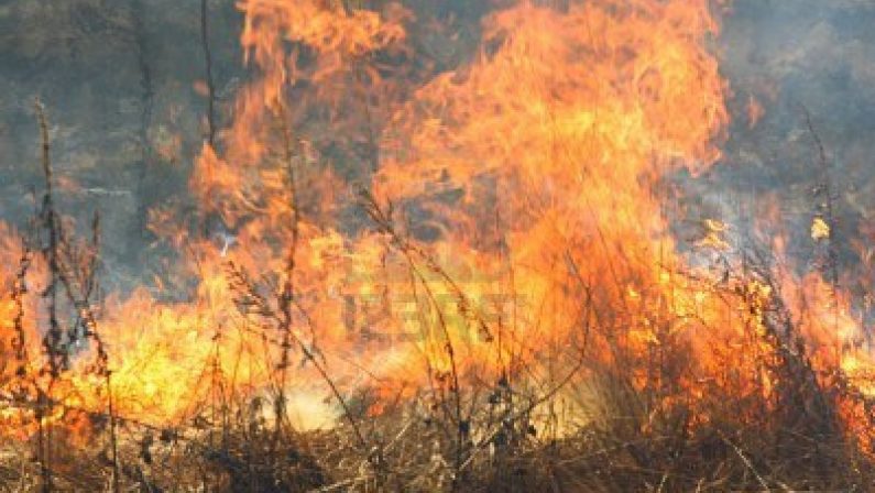 Appiccava un incendio in provincia di Reggio CalabriaArrestato in flagranza dai carabinieri un 52enne