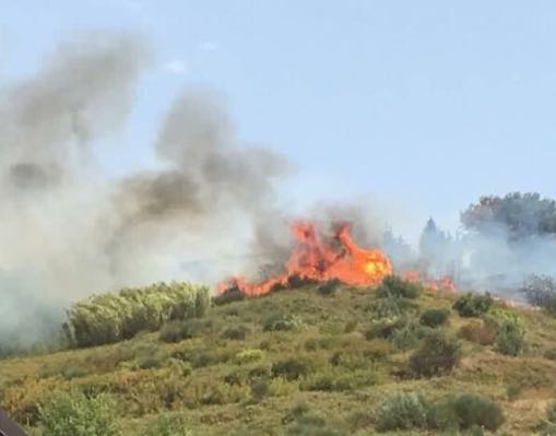 Le fiamme che si sono scatenate a Cosenza