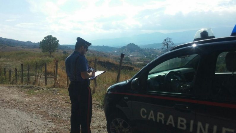 Trattori agricoli rubati in Calabria e portati in BasilicataIndagini con un arresto e diverse denunce