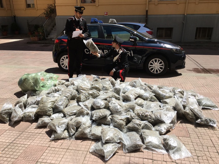 Scoperti oltre 150 chilogrammi di droga di vario tipoin botole sotto le reti degli ulivi, arrestati marito e moglie