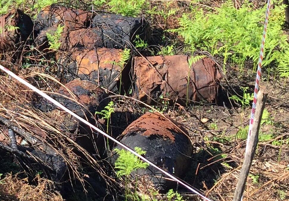I fusti ritrovati