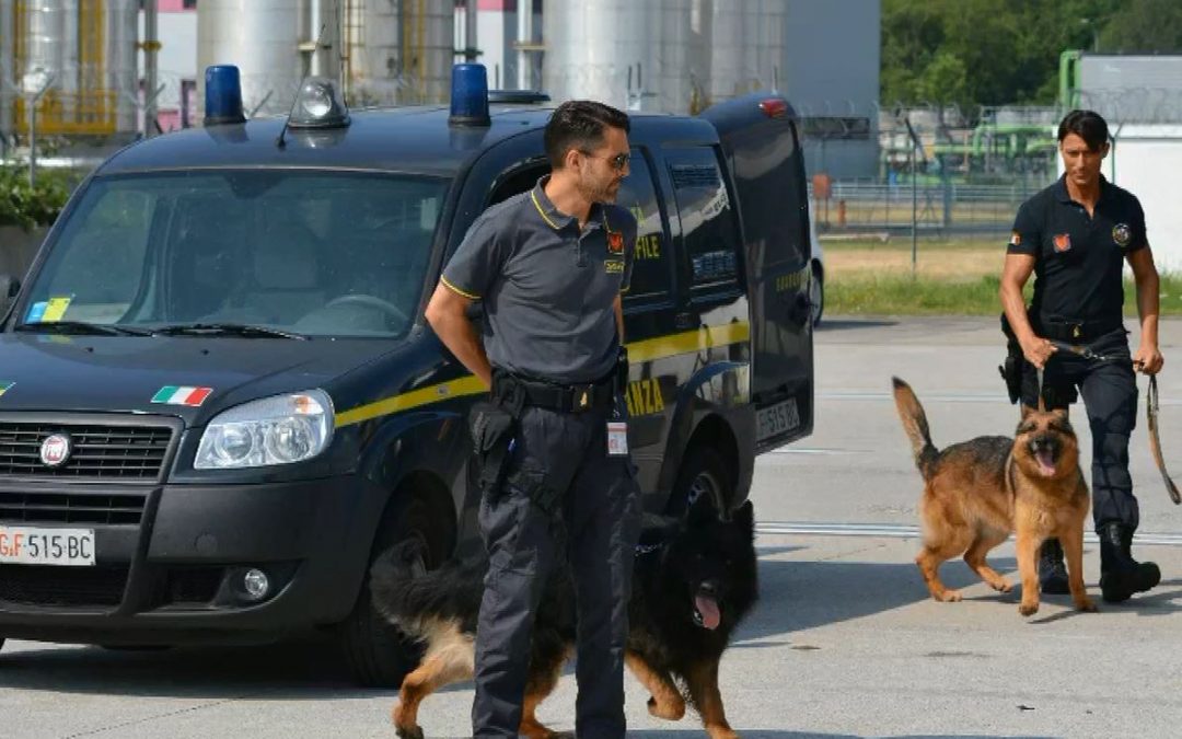 Sei quintali di marijuana sequestrati dalla Guardia di Finanza di Vibo Valentia