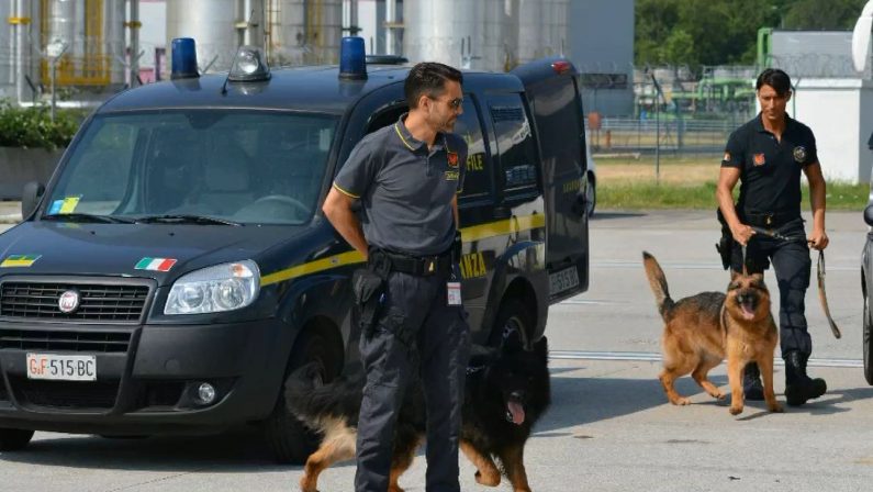 Sei quintali di marijuana sequestrati dalla Guardia di Finanza di Vibo Valentia