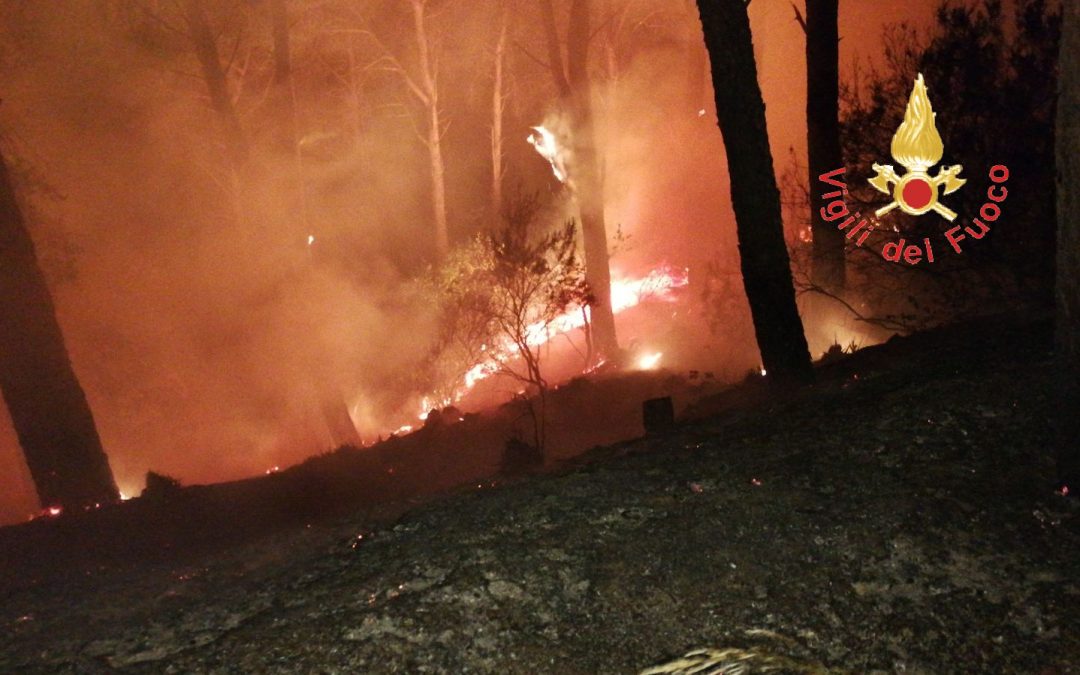 L'incendio nella pineta di Siano