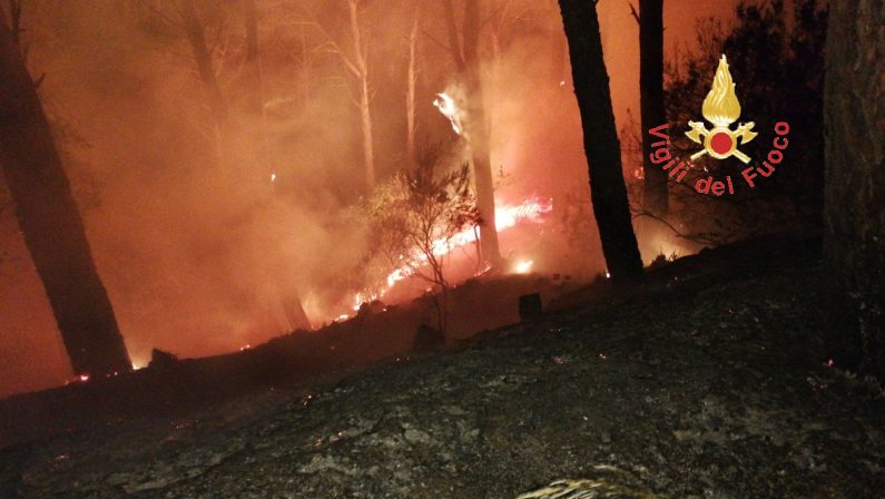 Nuovo incendio nella pineta di Siano a Catanzaro  Ancora danni all’ambiente. Incendiata anche auto