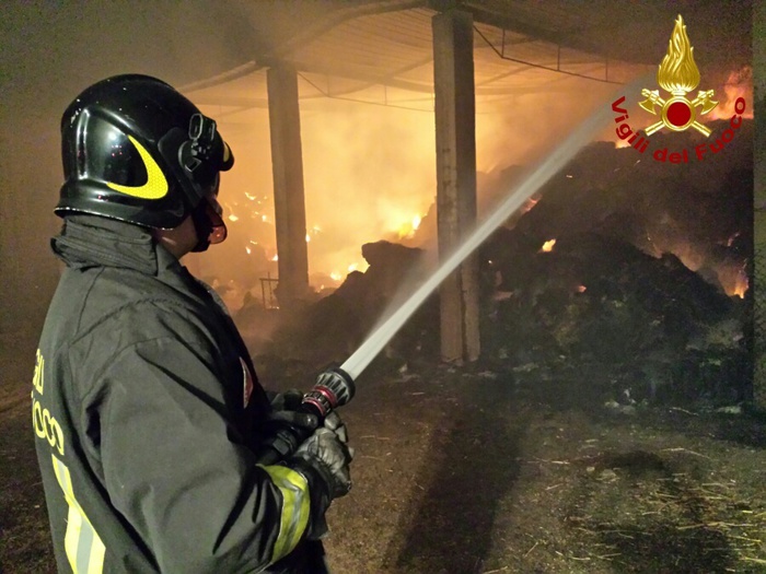 Mileto, incendiato nella notte un capannone agricoloGli animali all'interno portati in salvo dai vigili del fuoco