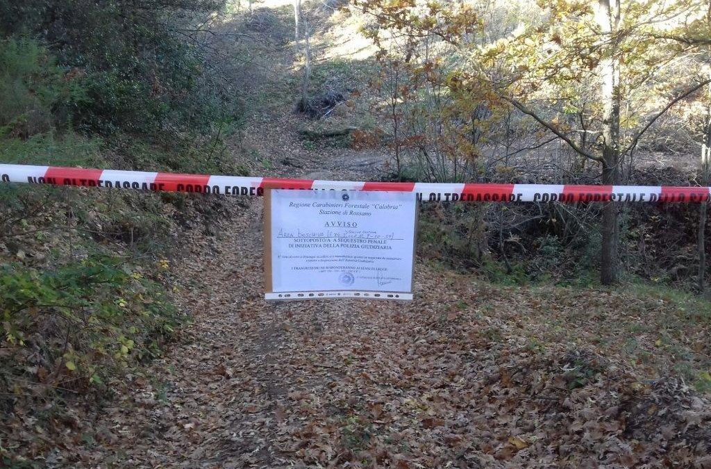 Il bosco sequestrato