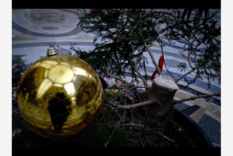 Napoli, ignoti  vandalizzano e poi rubano l’Albero di Natale della Galleria Umberto