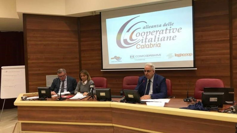 Anche in Calabria l'Alleanza delle cooperative italiane: Angela Robbe presidente