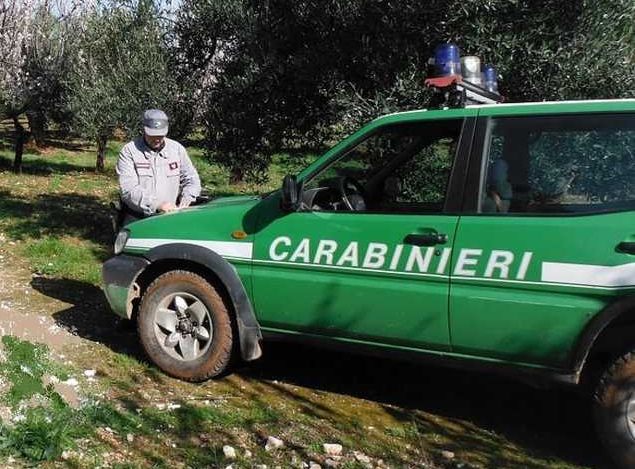 Controlli dei carabinieri forestali