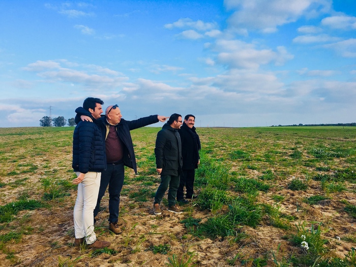 La start up calabrese dei grani antichi fa tris: dopo San Floro e Toscana, Mulinum sbarca in Puglia