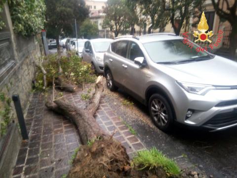 Danni per il maltempo a Catanzaro