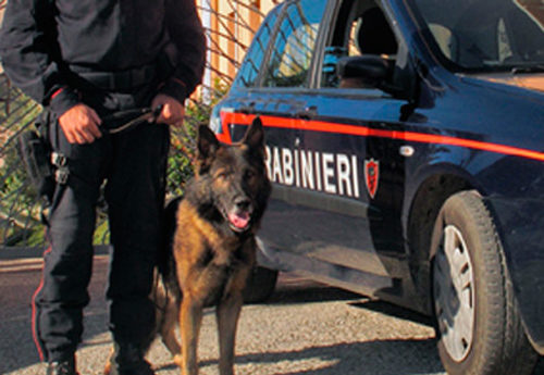 Conti correnti, gioielli e opere d'arte nei caveau in SvizzeraI beni sono riconducibili ad esponenti della 'ndrangheta