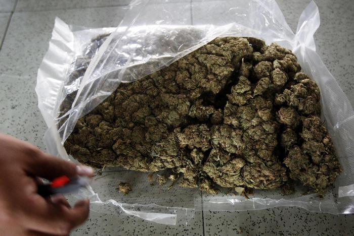 Maxi-sequestro di marijuana nel casertano: arrestata 33enne