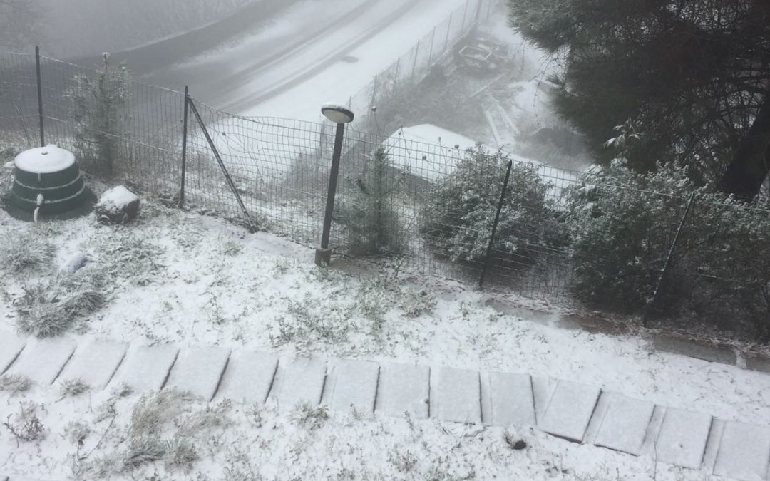 Neve in zona collinare