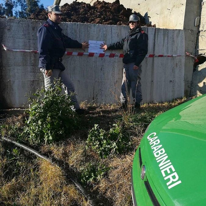 Il sequestro della concimaia