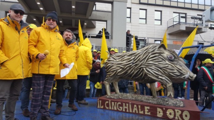 Cinghiali in Basilicata: quanti sono, perché aumentano e come l’emergenza può diventare risorsa