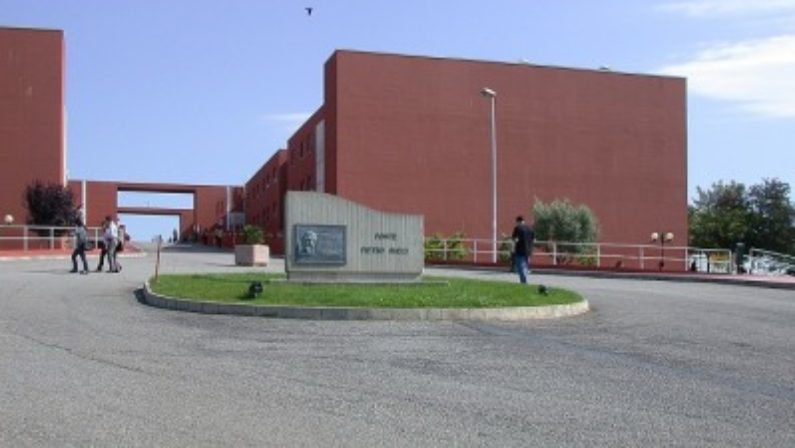 Una nuova fase costituente per l'Università della CalabriaLa proposta di Costabile, ordinario di sociologia politica