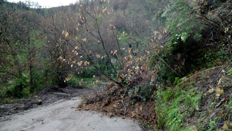 Continua a cedere la strada tra Acquaro e PianiSeconda frana in pochi giorni: chiusa la circolazione