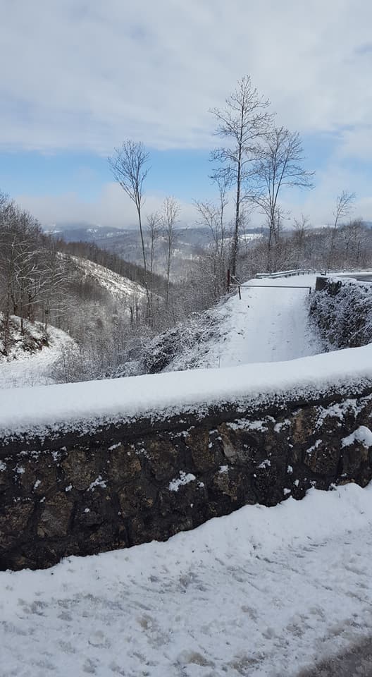 Neve e freddo, primavera in netto ritardo in CalabriaMa per Pasqua sarà caldo africano. Agricoltura in crisi